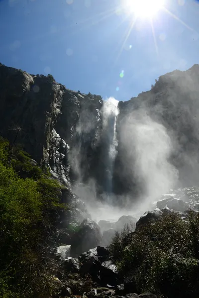 DSC_2316 (Large).JPG